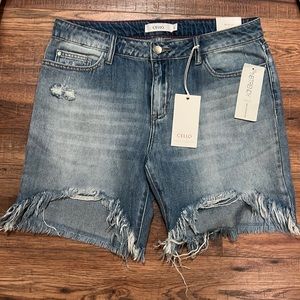 NWT Cello Denim Bermuda Shorts. Distressed Size Large
